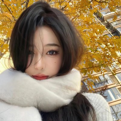 教宗的承继